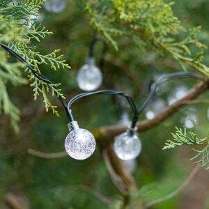 Solar globe string lights decorating a tree - Nonbrand String Light