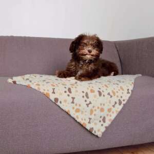 Trixie Lingo kutya takaró, fehér és bézs színű, mancsnyom mintával, 75x50cm - Kutyafekhely