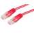 Roline UTP CAT5e patch cable, red, 1 meter