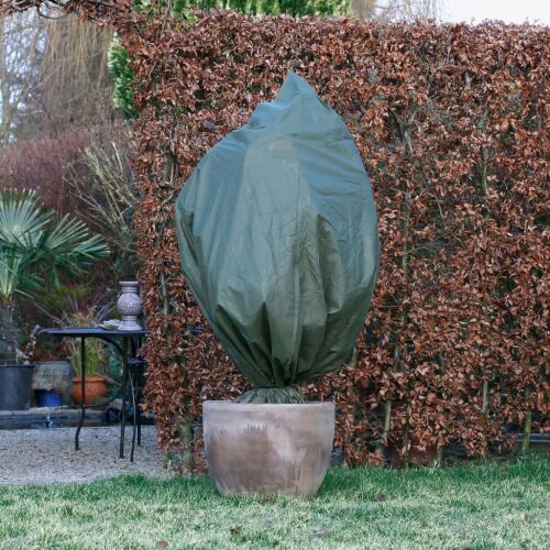 Nature green winter fleece cover protecting a potted plant from frost
