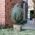 Nature green winter fleece cover protecting a potted plant from frost.