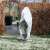 Nature Winter white fleece cover with zipper for protecting plants in winter, shown on a tree in a garden