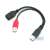DeLock DL65306 USB 2.0 Y-cable, 20cm, black, red