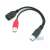 DeLock DL65306 USB 2.0 Y-cable, 20cm, black, red