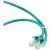 Gembird Cablexpert UTP CAT5e 1.5m zöld patch kábel RJ45 csatlakozókkal