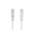 Lanberg RJ45 CAT5e UTP Patch Cable, 0.5m, Grey