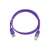 Cablu UTP GEMBIRD Cat5e, cupru-aluminiu, 0.25 m, violet, AWG26, PP12-0.25M/V (PP12-0.25M/V) (PP12-0.25M/V) 64870355