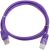 Gembird Cablexpert UTP CAT5e lila patch kábel, 0.25m