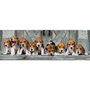 Clementoni Beagle Welpen Panorama Puzzle, 1000 Teile, zusammengebaut - Clementoni Puzzle