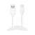 Kabel Sandberg USB-C do USB-A 2.0, biały