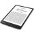 PocketBook InkPad 4 e-reader displaying 'Effi Briest' book on its E-Ink screen.
