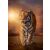 Kész Clementoni Tigris 1500 darabos puzzle
