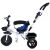 Funfit Kids Twist 360 Tricycle with Parent Handle