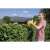 Woman using Karcher HGE 18V-50 cordless hedge trimmer to trim a hedge