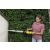Woman using Karcher HGE 18V-50 cordless hedge trimmer to trim a tall hedge against a wall