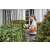Woman using Karcher HGE 18V-45 cordless hedge trimmer to trim a hedge