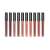Niceface 10 Piece Matte Lip Gloss Set, 10 different shades of nude, long-lasting, non-stick, mousse formula