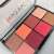 Technic Jungle Fever Blush Highlight Palette, 8 shades, open box, top view