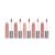 5-piece Lipstick Set, Teayason, Matte, 03 65501426