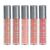 5-piece Lipstick Set, Teayason, Matte, 03 65501426