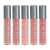 Teayason Matte Lip Gloss 5-piece set, 5 shades of long-lasting liquid lipstick