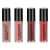 Handaiyan Liquid Lipstick Set of 4, 4 shades of liquid lipstick