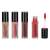 Handaiyan Liquid Lipstick, 4 shades of liquid lipstick, one shade shown with applicator