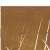 Fűmintás corten acél kerti kapu 105 x 155 cm 65515055