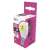 EMOS LED light bulb, E14, 6W, natural white, 470 lumens, energy class F