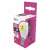 EMOS LED light bulb, E14 socket, natural white, 6W, 3 years warranty
