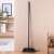 York Partvis 120cm broom with handle, black, 33x10cm head, Eco Natural, in a home setting