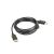 Lanberg DisplayPort Cable 3m black (CA-DPDP-10CC-0030-BK) 68663073