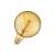 Osram Vintage 1906 LED bulb, E27 base, decorative golden glass