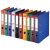 Esselte Standard A4 Ring File Organizer - Roșu 133600606