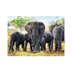 Puzzle Trefl finalizat 1000 piese Elefanți africani - Puzzle