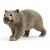 Schleich Wombat Figure - Wild Animal - 7.5 cm