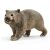 Schleich wombat figure (14834) 65664980