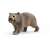 Schleich Wombat figure, realistic animal figurine, grey-brown fur, standing pose, perfect for imaginative play