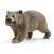 Schleich Wombat figure, realistic animal figurine, grey-brown fur, standing pose, perfect for imaginative play