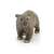 Schleich Wombat figure, realistic animal figurine, grey-brown fur, front view, perfect for imaginative play