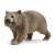 Schleich Wombat figure, realistic animal figurine, grey-brown fur, standing pose, perfect for imaginative play