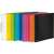 Pagna A4 PP 16mm 2 gyűrűs lime gyűrűs mappa, 12 színben