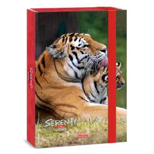 Ars Una Serenity in the Nature A4 tigris mintás füzetbox - Ars Una