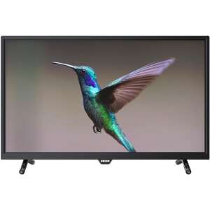 Orion 32OR17RDL LED TV, 80 cm, HD Ready | Pepita.com