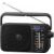 Panasonic RF-2400DEGK Portable AM/FM Radio