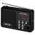 Sencor SRD215B schwarzes FM-Radio mit MP3-Player, USB- und SD-Kartensteckplatz