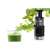 Bosch MESM731M slow juicer making green juice with fresh ingredients