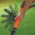 Adjustable handle of Black and Decker cordless grass trimmer