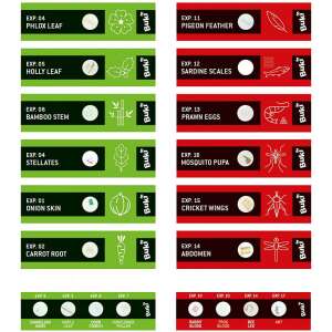Buki Microscope Sample Slides, 20 prepared slides for kids microscope, ages 8+ - Buki France Science & Discovery Toy