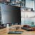 Blickschutzfilter Qoltec GDPR 23" (16:9) 66183550